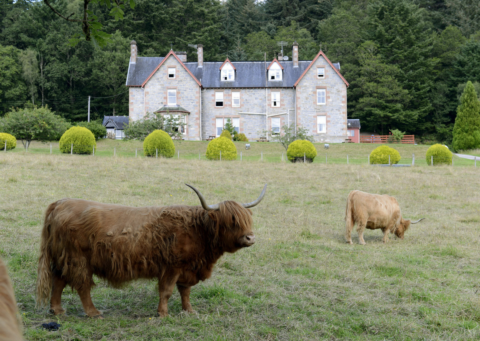 Inch Hotel Fort Augustus Exteriér fotografie